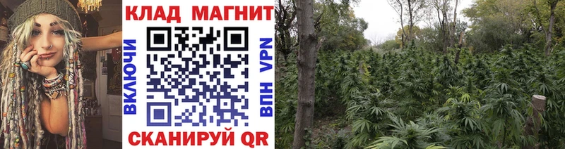 Наркошоп купить A PVP  Меф  АМФ  МЕТАМФЕТАМИН  ГАШИШ  Суздаль