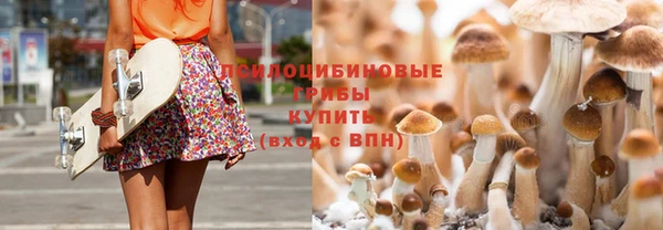 2c-b Краснотурьинск