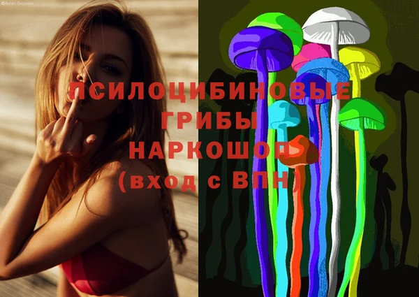 apvp Краснослободск