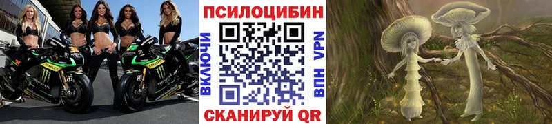 Галлюциногенные грибы Magic Shrooms  Купить закладки  Суздаль 