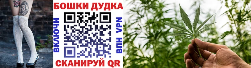 Канабис план  Купить  Суздаль 